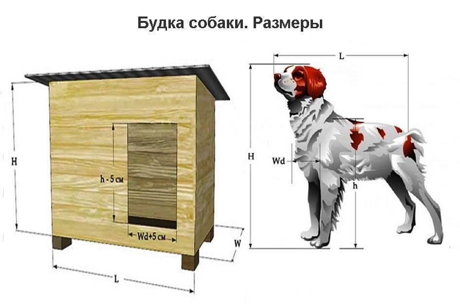 Будка для собаки своими руками: чертежи и схемы, домашняя и уличная, утепление
