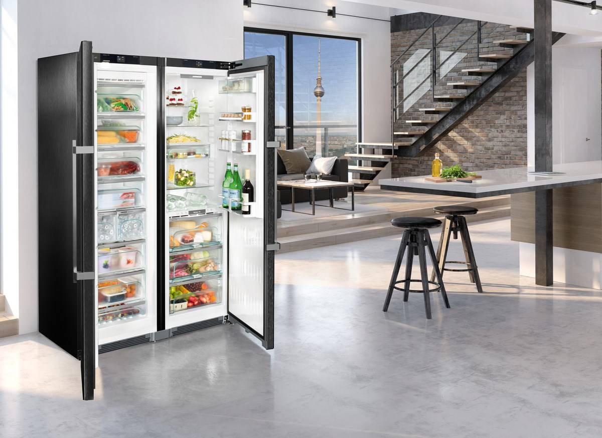 Двухдверный холодильник: обзор, разновидности и рекомендации по выбору