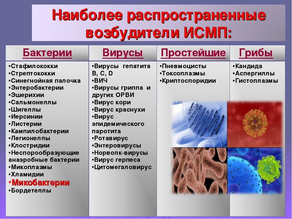 Какое заболевание развивается у человека при заражении простейшими изображенным на рисунке 2