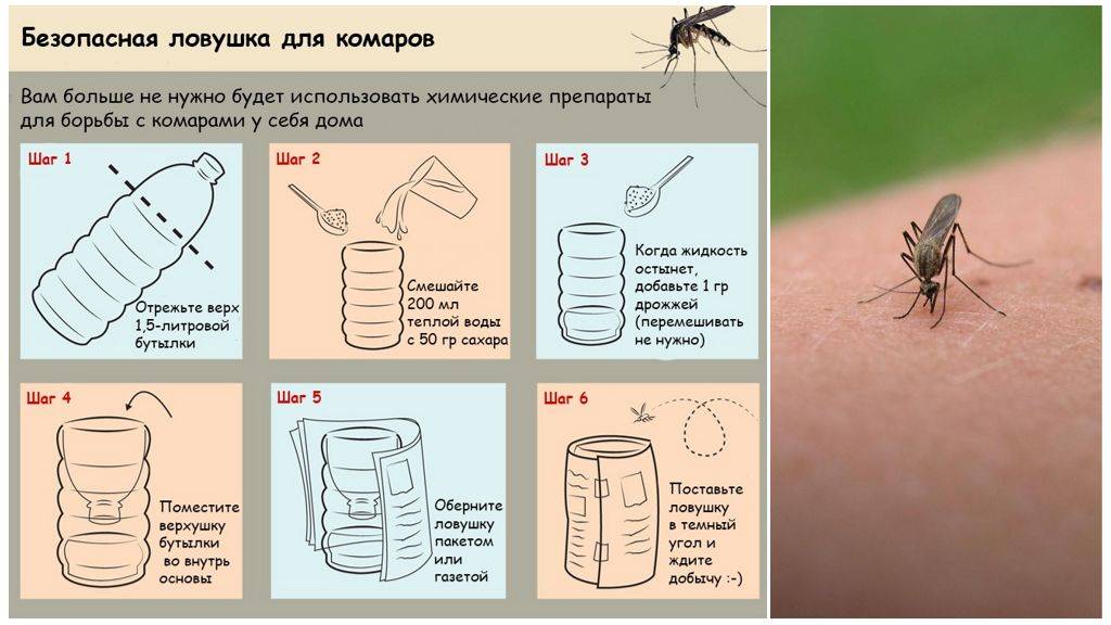 Как избавиться от комаров на даче, вывести их на участке, в саду