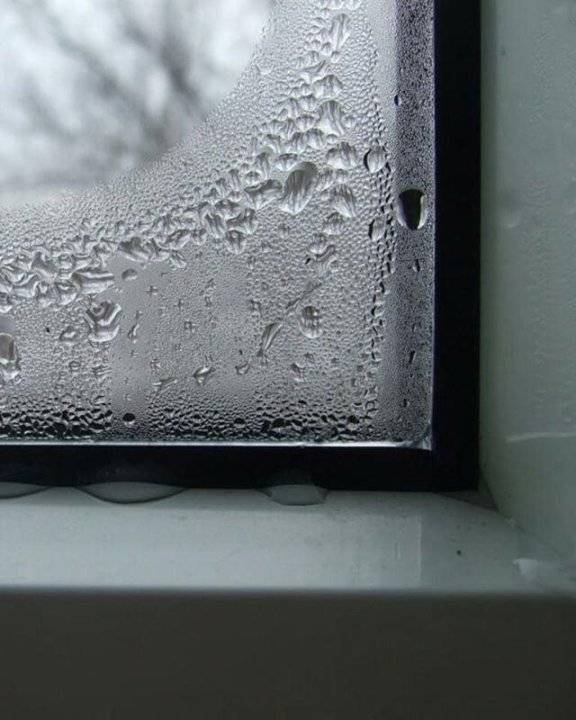 Почему потеют пластиковые окна в доме зимой и как избавиться от влаги