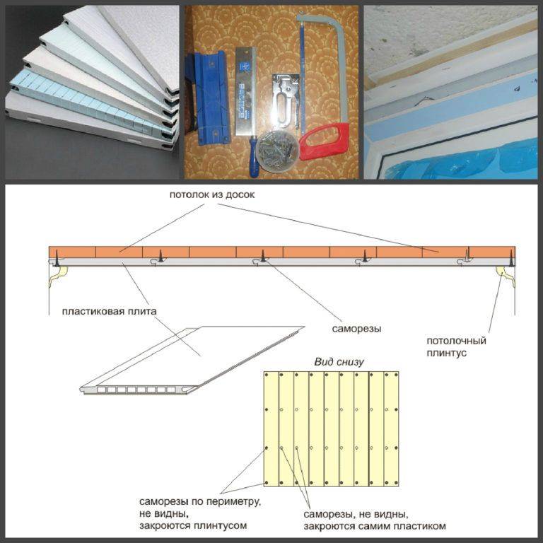 Отделка стен пластиковыми панелями: пошаговая инструкция