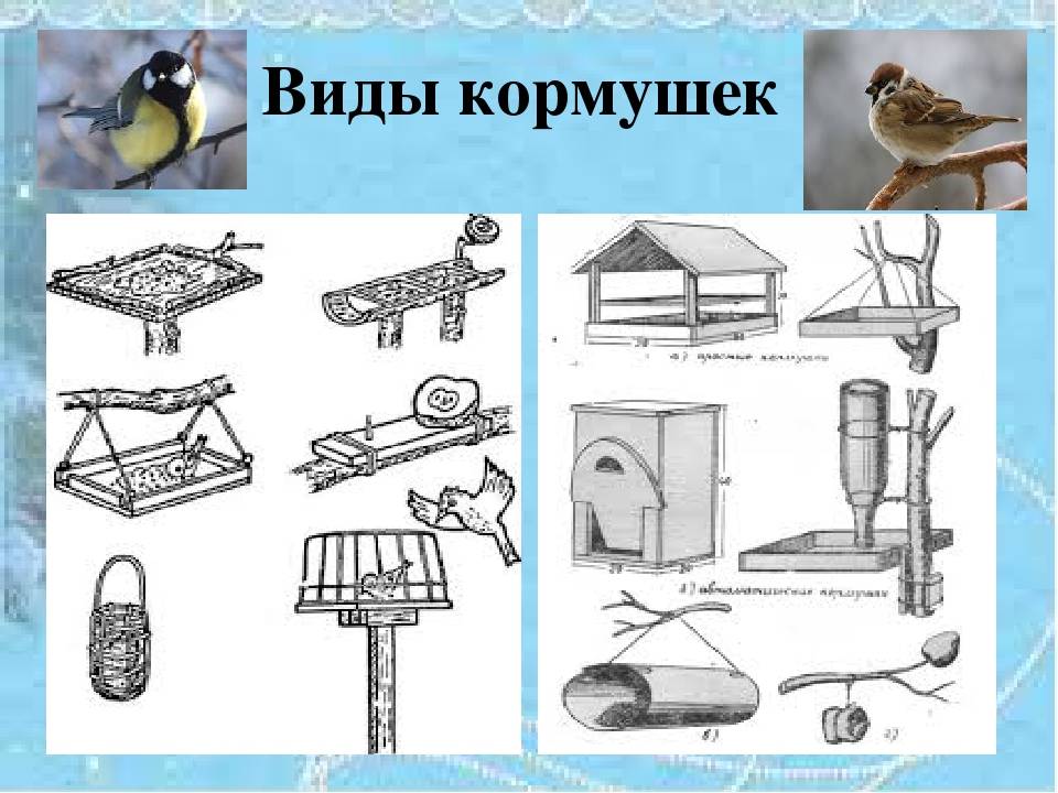 Как сделать кормушку для птиц: чертежи, фото, видео способы изготовления