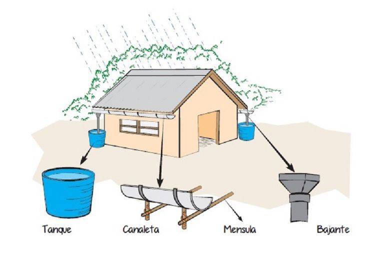 Как организовать систему сбора дождевой воды