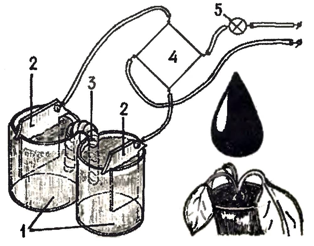 Ионизатор воды своими руками: делаем из доступных предметов со схемой