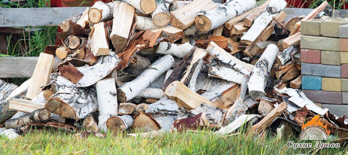 Советы по выбору дров для различных целей