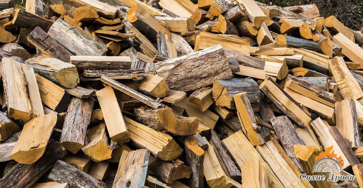 Какие дрова лучше для отопления? | forestbase