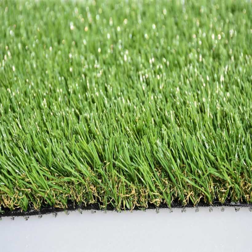 Сеянный газон: как выбрать газонную траву и какой из сортов самый лучший?