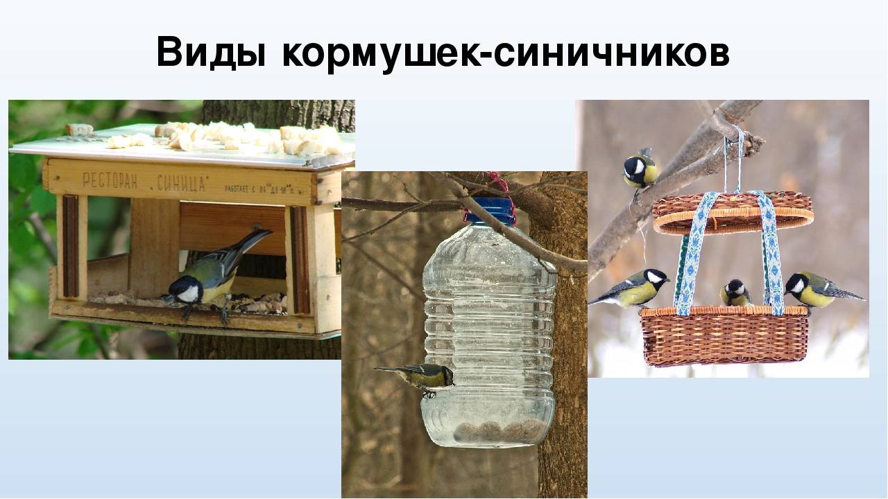 Кормушки для птиц: инструкции, фото и оригинальные идеи