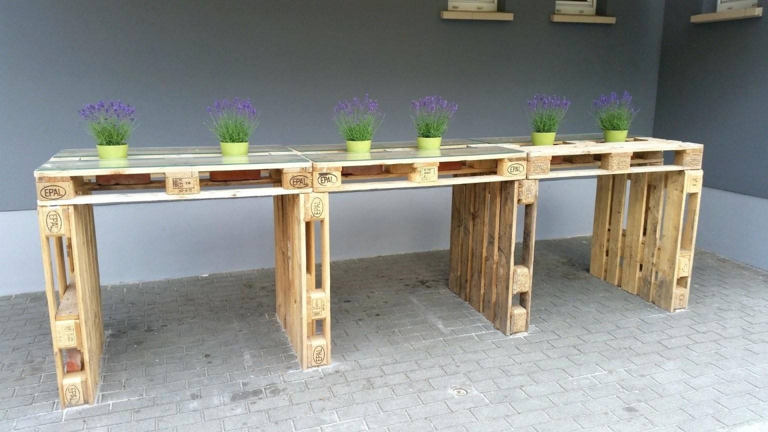 «цветущие» столы: оригинальный способ вписать суккуленты в интерьер