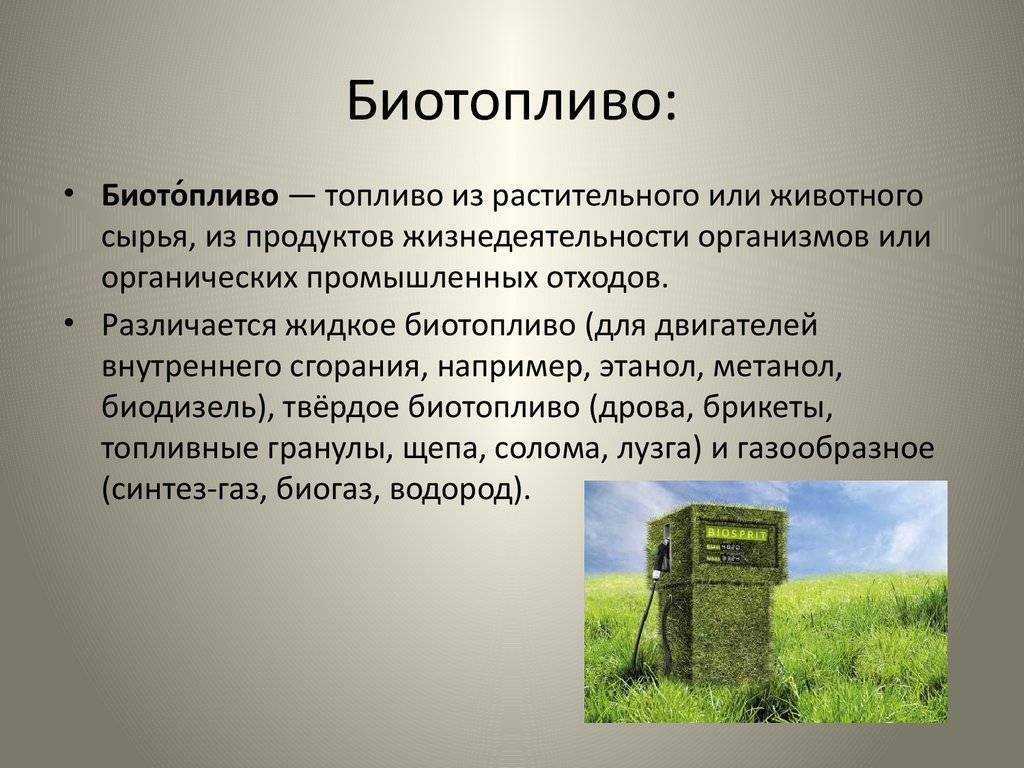 Как сделать биотопливо своими руками?