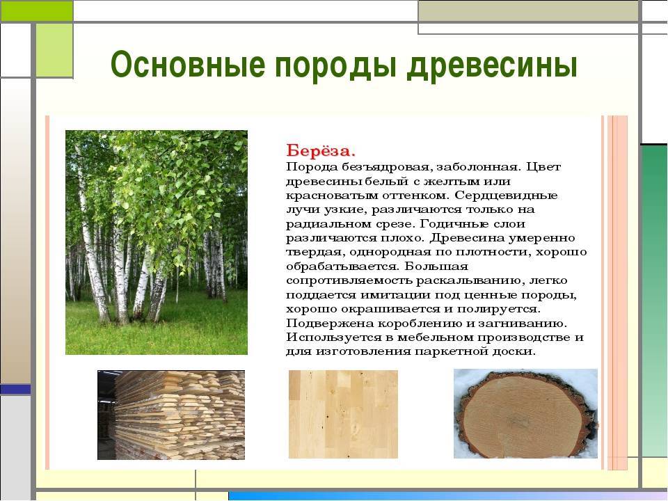 Дерево для строительства дома - обзор строительного материала