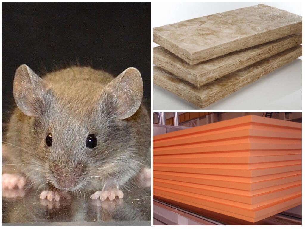 Какой утеплитель не грызут мыши и крысы: обзор материалов для защиты от грызунов. живут ли мыши в стекловате