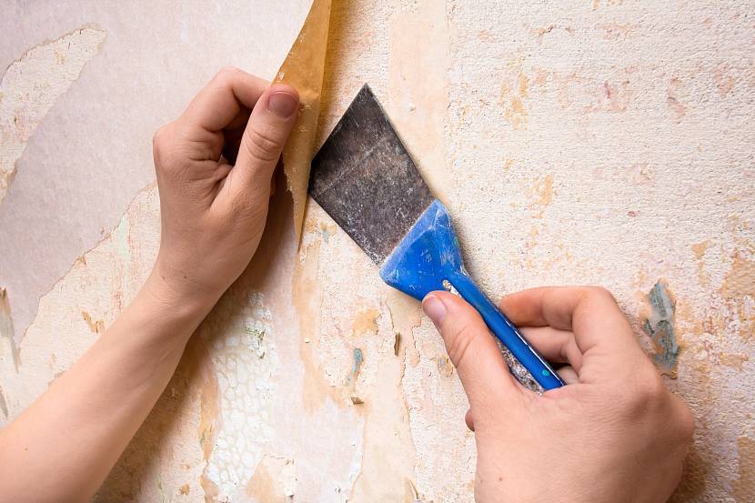 Подготовка стен под покраску. особенности и этапы подготовки стен под покраску