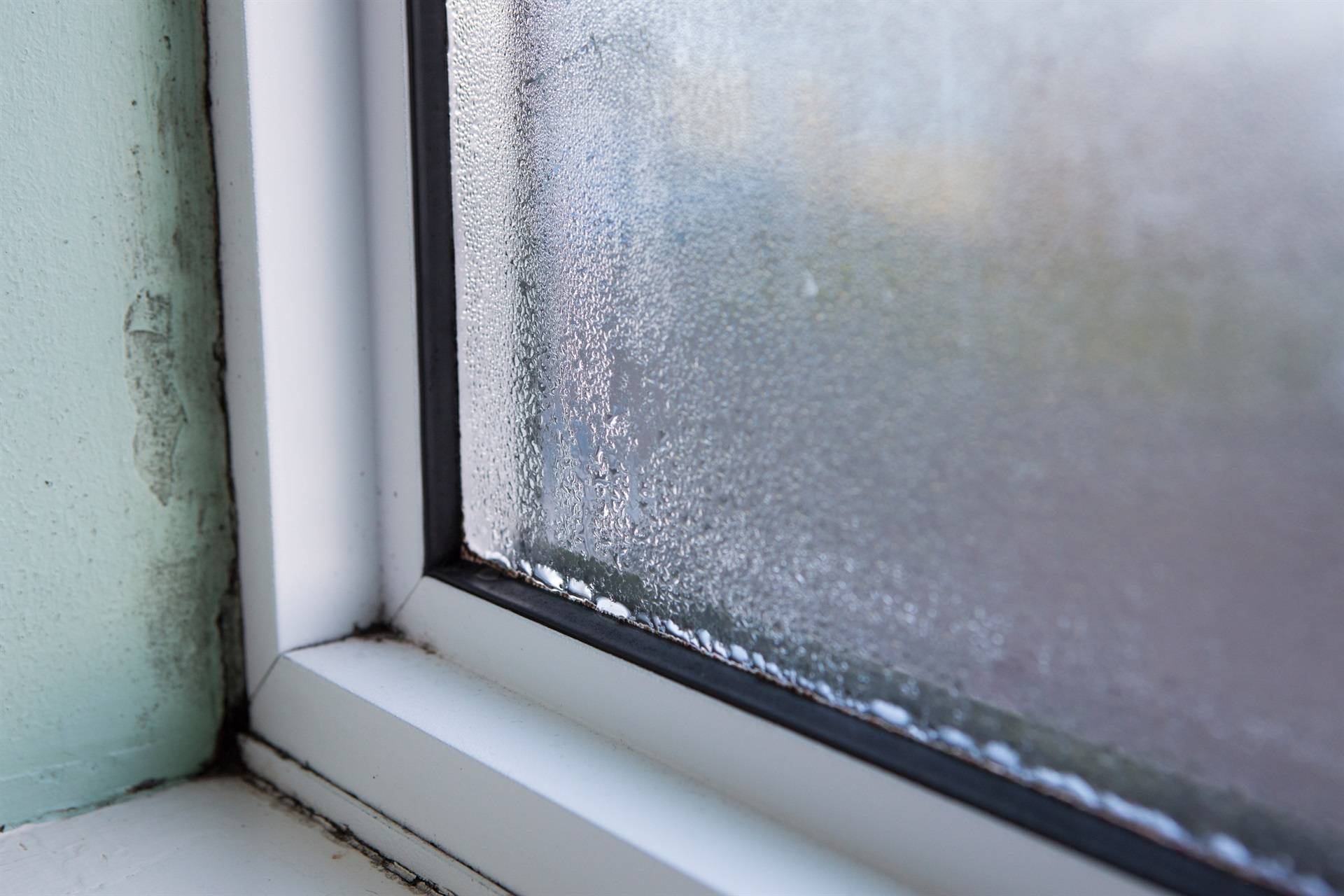 Почему потеют пластиковые окна: причины и предрасполагающие факторы, способы устранения конденсата в квартире