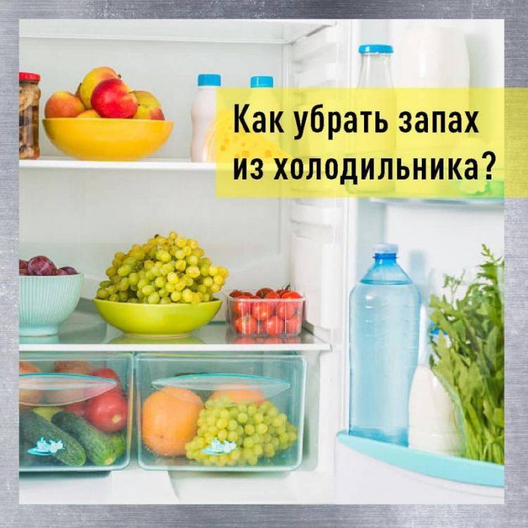 Как избавиться от запаха в холодильнике: 12 эффективных способов