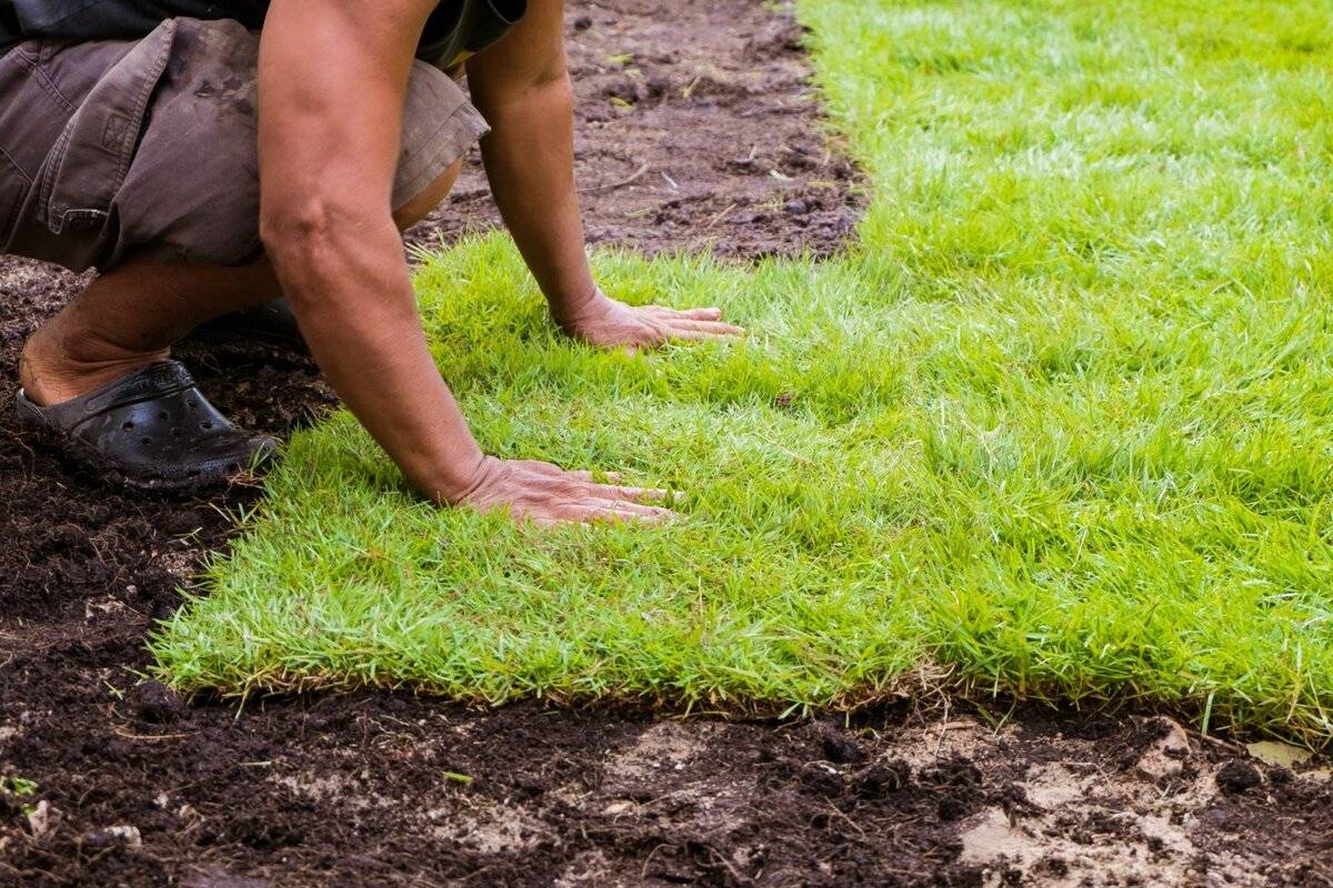 Укладка рулонного газона своими руками: тонкости и рекомендации