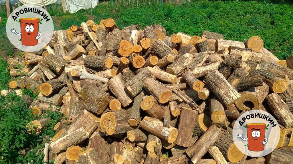 Чем лучше топить баню: дубовыми или березовыми дровами