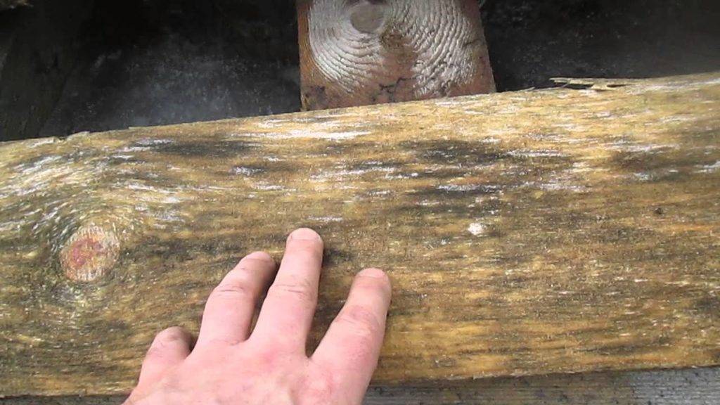 Защита деревянного забора от гниения - megasklad24.ru