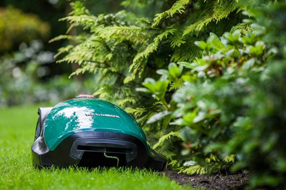 Топ-12 лучших роботов-газонокосильщиков: как выбрать, цены, рейтинг